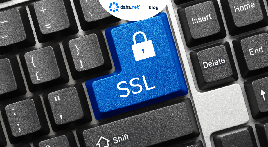 En son SSL sertifikası verileri